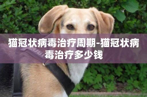 貓冠狀病毒治療周期-貓冠狀病毒治療多少錢