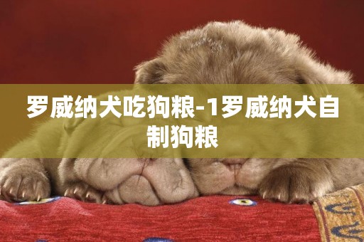 羅威納犬吃狗糧-1羅威納犬自制狗糧