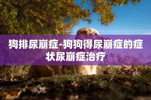 狗排尿崩癥-狗狗得尿崩癥的癥狀尿崩癥治療
