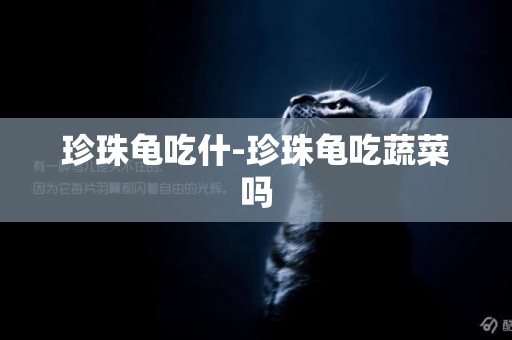 珍珠龜吃什-珍珠龜吃蔬菜嗎