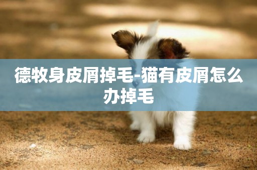 德牧身皮屑掉毛-貓有皮屑怎么辦掉毛