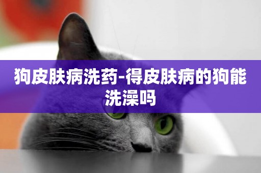 狗皮膚病洗藥-得皮膚病的狗能洗澡嗎