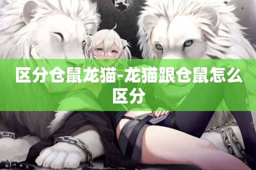 區分倉鼠龍貓-龍貓跟倉鼠怎么區分