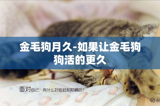 金毛狗月久-如果讓金毛狗狗活的更久
