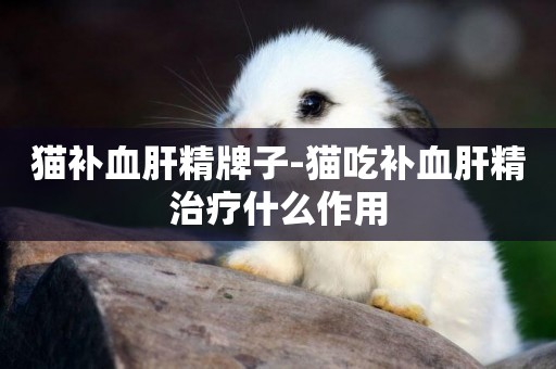 貓補血肝精牌子-貓吃補血肝精治療什么作用