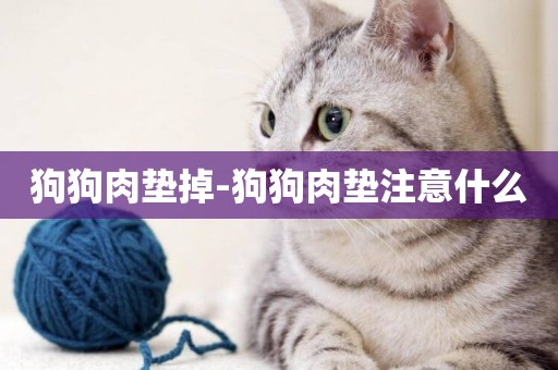 狗狗肉墊掉-狗狗肉墊注意什么
