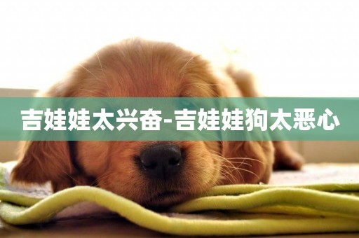 吉娃娃太興奮-吉娃娃狗太惡心