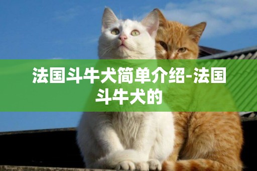法國斗牛犬簡單介紹-法國斗牛犬的