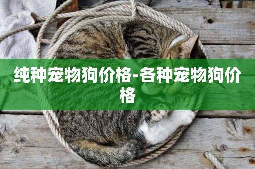 純種寵物狗價格-各種寵物狗價格