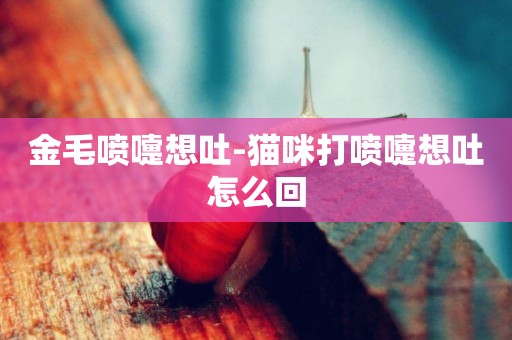 金毛噴嚏想吐-貓咪打噴嚏想吐怎么回