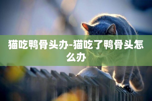 貓吃鴨骨頭辦-貓吃了鴨骨頭怎么辦