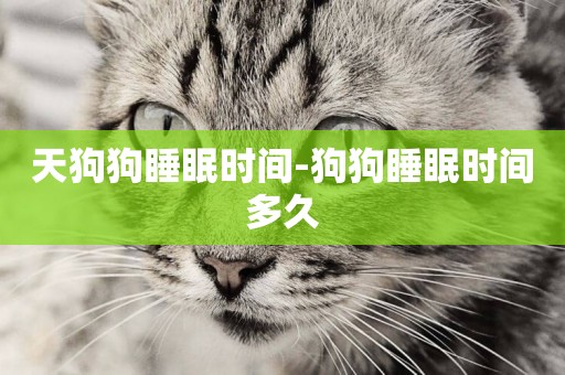 天狗狗睡眠時間-狗狗睡眠時間多久
