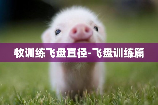 牧訓練飛盤直徑-飛盤訓練篇