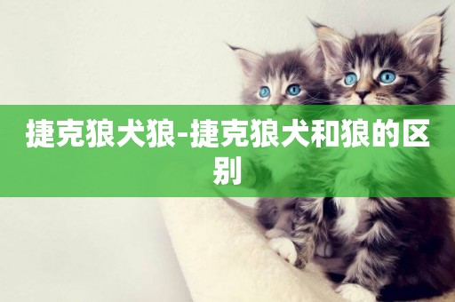 捷克狼犬狼-捷克狼犬和狼的區別