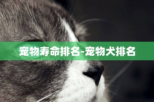寵物壽命排名-寵物犬排名