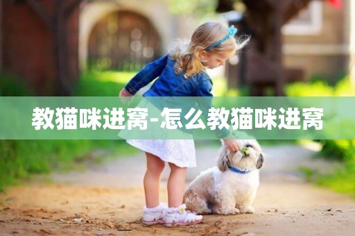 教貓咪進窩-怎么教貓咪進窩