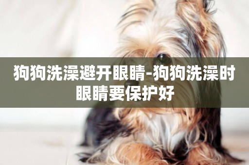 狗狗洗澡避開眼睛-狗狗洗澡時眼睛要保護好