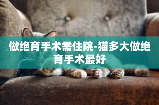 做絕育手術需住院-貓多大做絕育手術最好