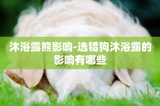 沐浴露熊影響-選錯狗沐浴露的影響有哪些