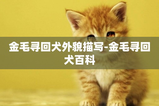 金毛尋回犬外貌描寫-金毛尋回犬百科