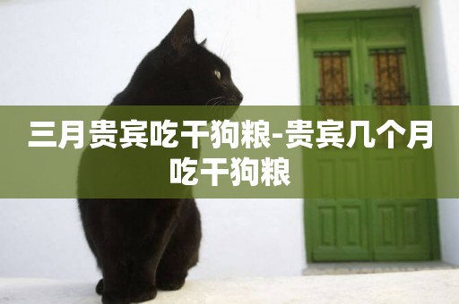 三月貴賓吃干狗糧-貴賓幾個月吃干狗糧