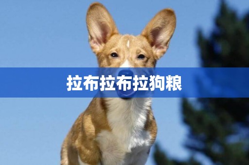拉布拉布拉狗糧
