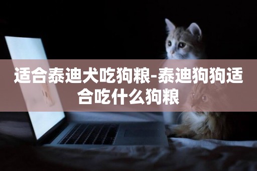 適合泰迪犬吃狗糧-泰迪狗狗適合吃什么狗糧
