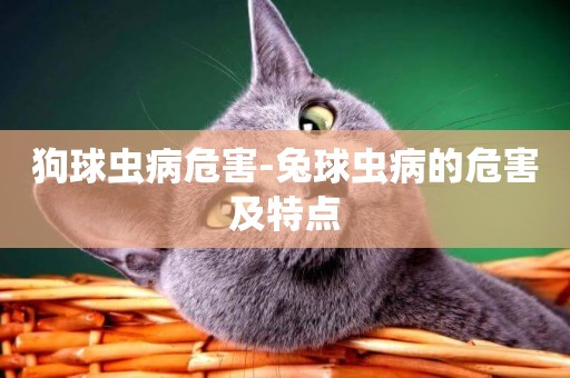 狗球蟲病危害-兔球蟲病的危害及特點