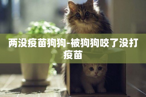 兩沒疫苗狗狗-被狗狗咬了沒打疫苗