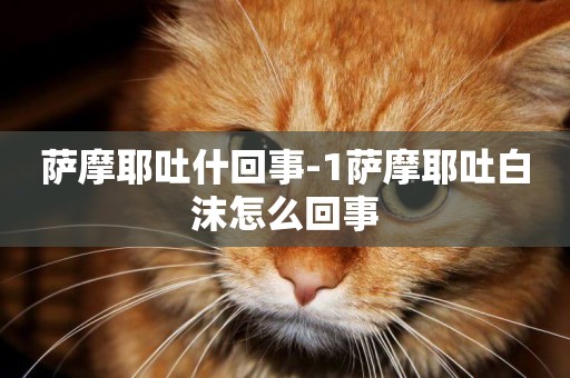 薩摩耶吐什回事-1薩摩耶吐白沫怎么回事