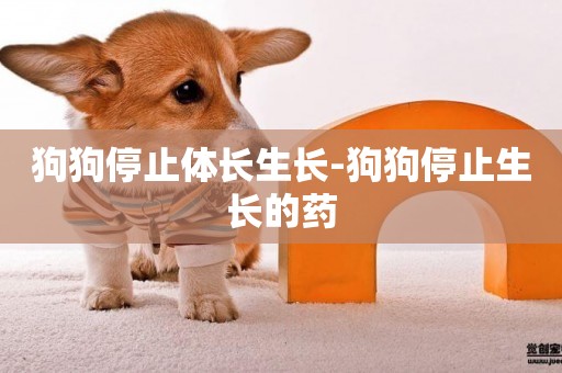 狗狗停止體長生長-狗狗停止生長的藥