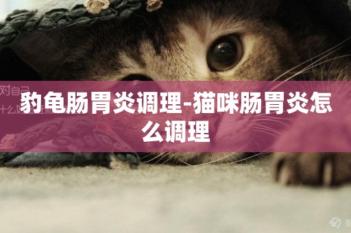 豹龜腸胃炎調理-貓咪腸胃炎怎么調理