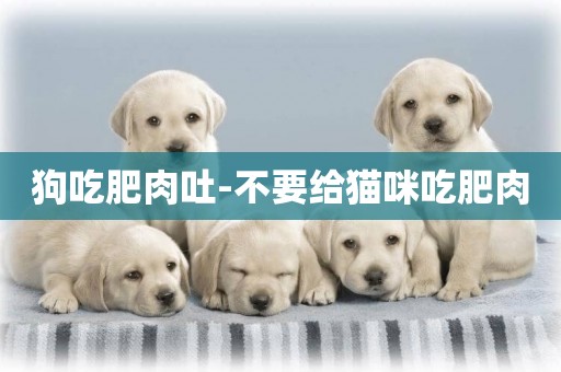 狗吃肥肉吐-不要給貓咪吃肥肉