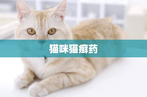 貓咪貓癬藥