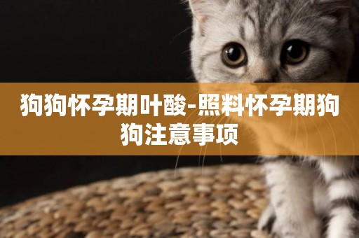 狗狗懷孕期葉酸-照料懷孕期狗狗注意事項