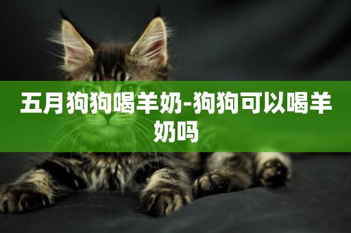 五月狗狗喝羊奶-狗狗可以喝羊奶嗎