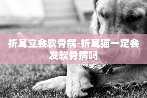 折耳立會軟骨病-折耳貓一定會發軟骨病嗎