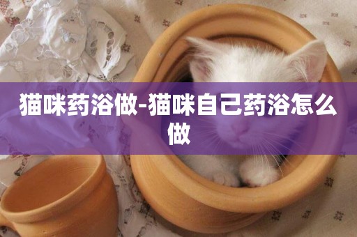 貓咪藥浴做-貓咪自己藥浴怎么做
