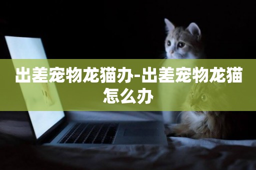 出差寵物龍貓辦-出差寵物龍貓怎么辦