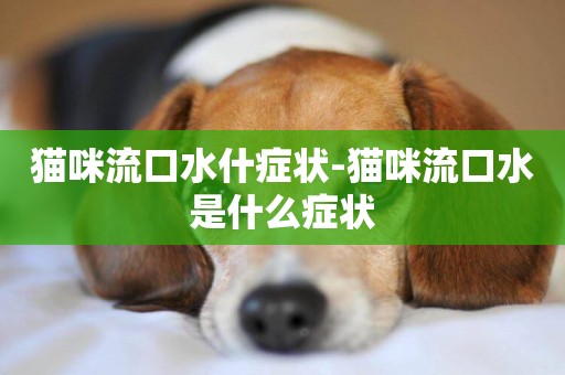貓咪流口水什癥狀-貓咪流口水是什么癥狀