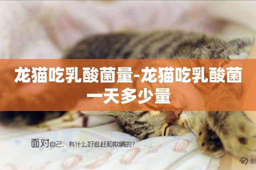 龍貓吃乳酸菌量-龍貓吃乳酸菌一天多少量