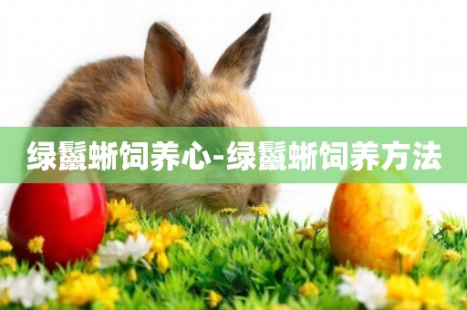 綠鬣蜥飼養心-綠鬣蜥飼養方法