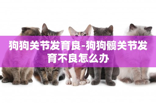 狗狗關節發育良-狗狗髖關節發育不良怎么辦