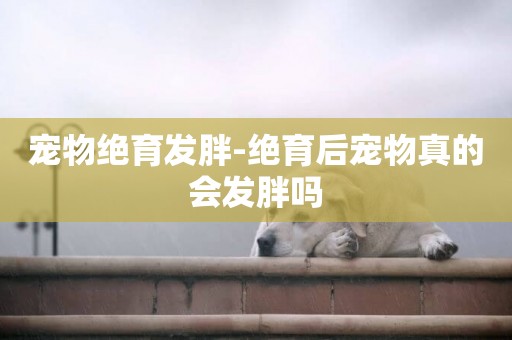 寵物絕育發胖-絕育后寵物真的會發胖嗎