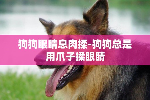 狗狗眼睛息肉揉-狗狗總是用爪子揉眼睛