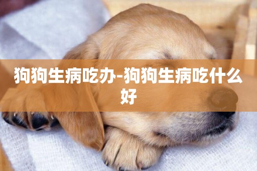 狗狗生病吃辦-狗狗生病吃什么好