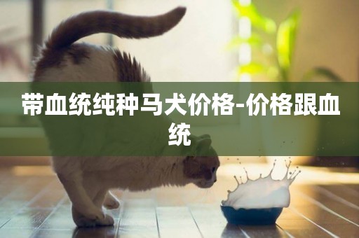 帶血統純種馬犬價格-價格跟血統