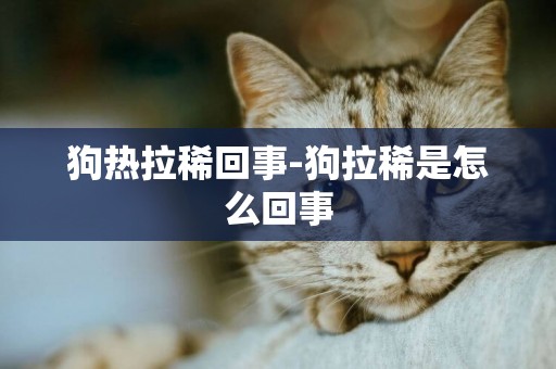狗熱拉稀回事-狗拉稀是怎么回事
