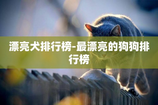漂亮犬排行榜-最漂亮的狗狗排行榜