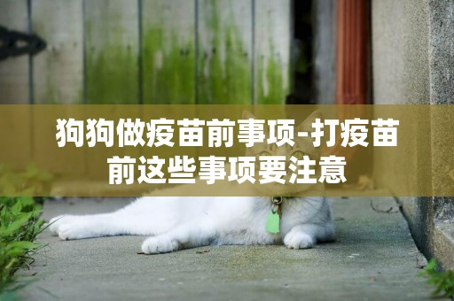 狗狗做疫苗前事項-打疫苗前這些事項要注意